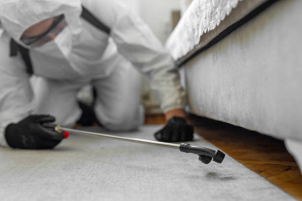 Professional Mosquito Control technician working in Crestline, CA