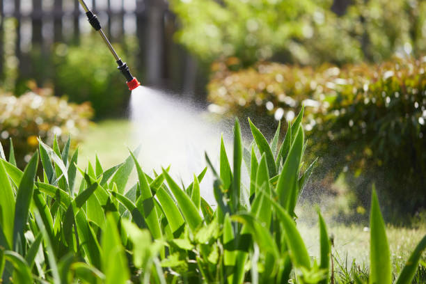24/7 Emergency Mosquito Control experts in Crestline, CA
