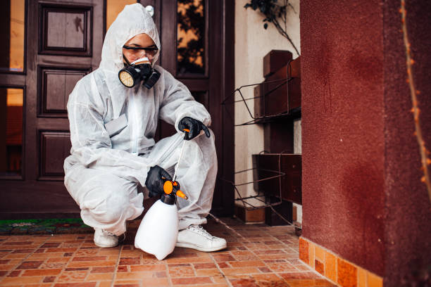 Reliable Mosquito Control contractor in Crestline, CA by Nex Pest Control